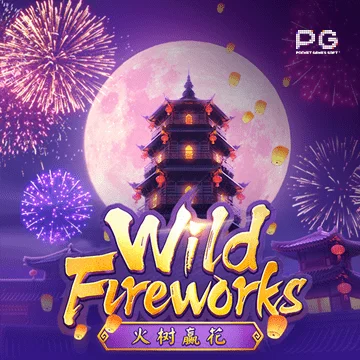 wild-firework